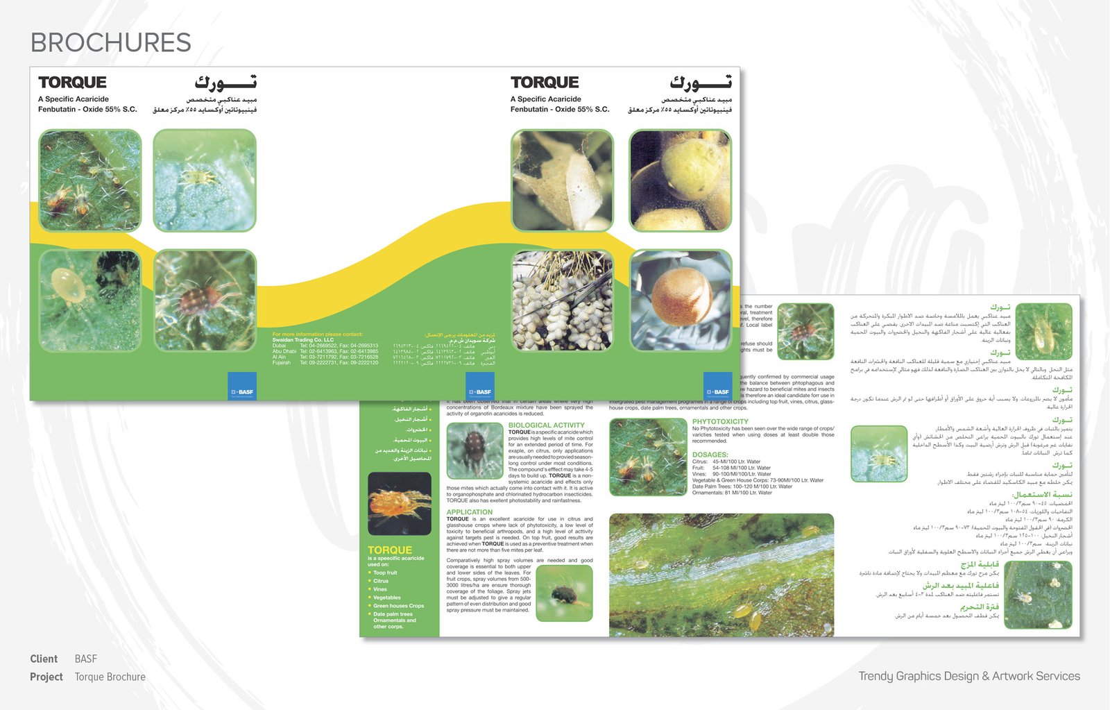 BASF Torque Brochure