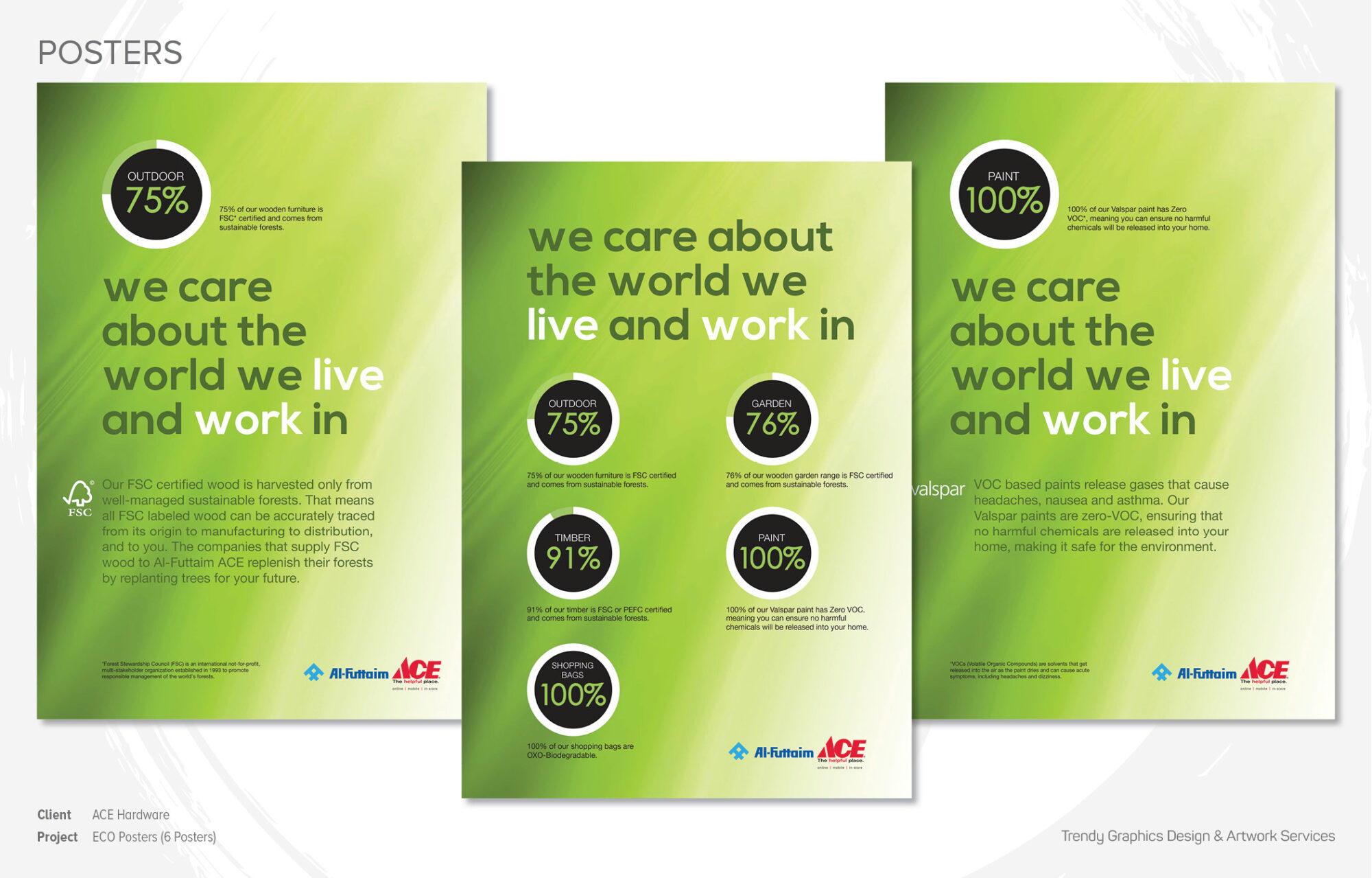 ACE Hardware – ECO Posters (6 Posters)